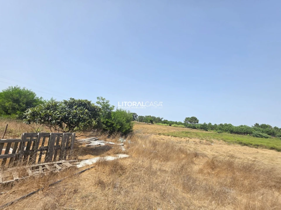 Quinta T0 para Venda em Vila Nova de Milfontes Foto 43