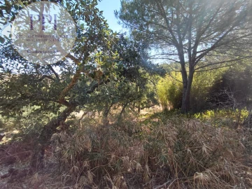 Terreno para Venda em Bensafrim e Barão de São João