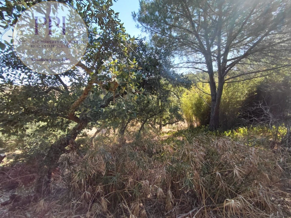 Terreno para Venda em Bensafrim e Barão de São João Foto 16