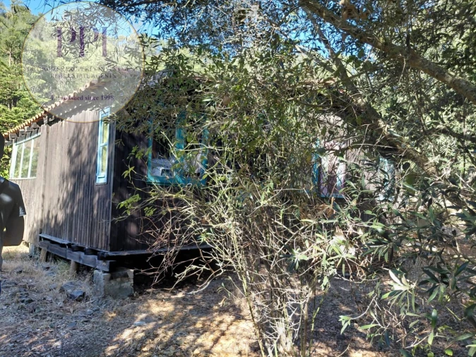 Terreno para Venda em Bensafrim e Barão de São João Foto 10