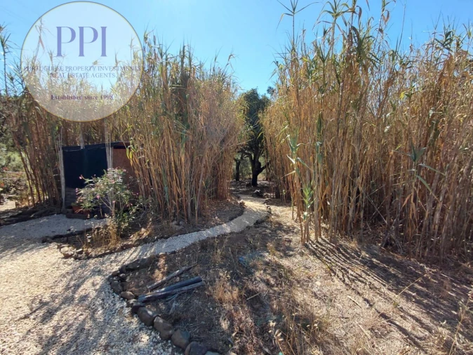 Terreno para Venda em Bensafrim e Barão de São João Foto 32