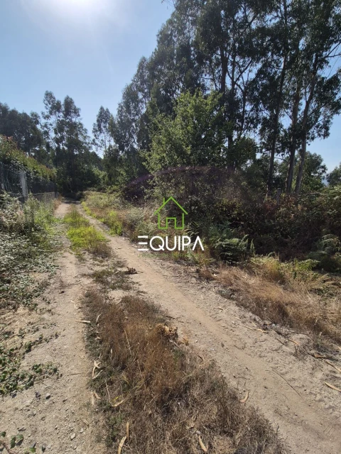 Terreno para Venda em Ferreira