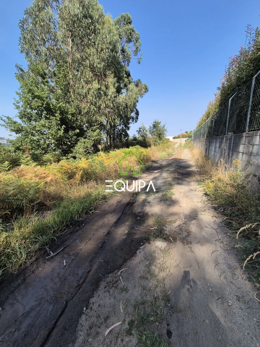 Terreno para Venda em Ferreira Foto 9