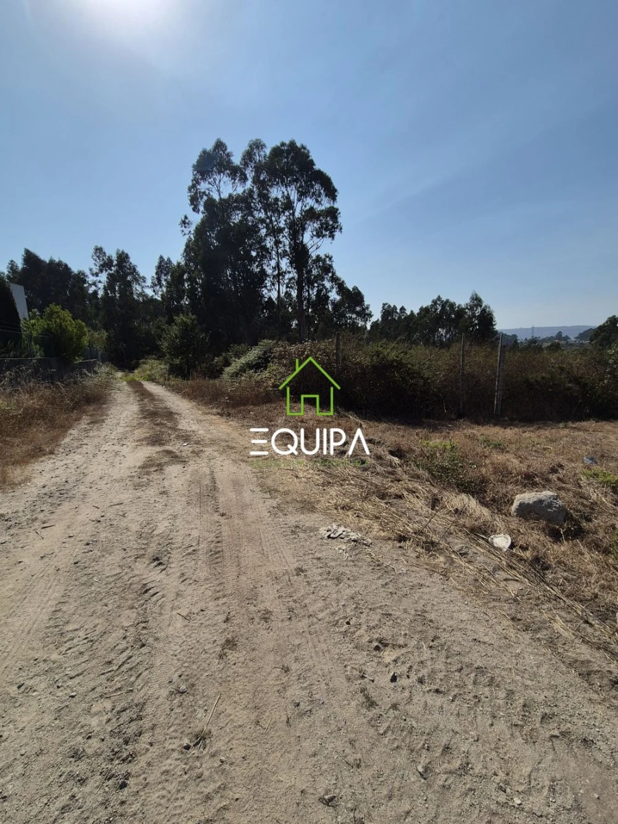 Terreno para Venda em Ferreira Foto 5