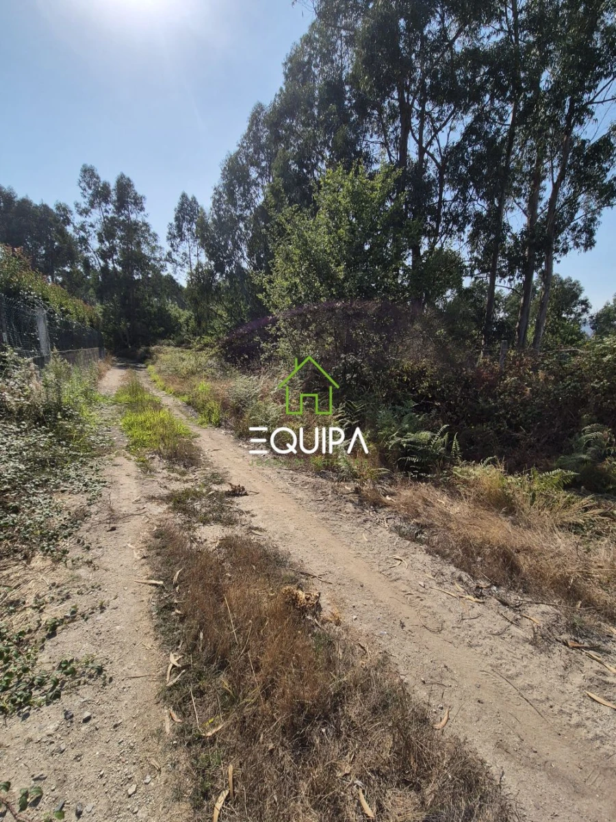 Terreno para Venda em Ferreira Foto 8