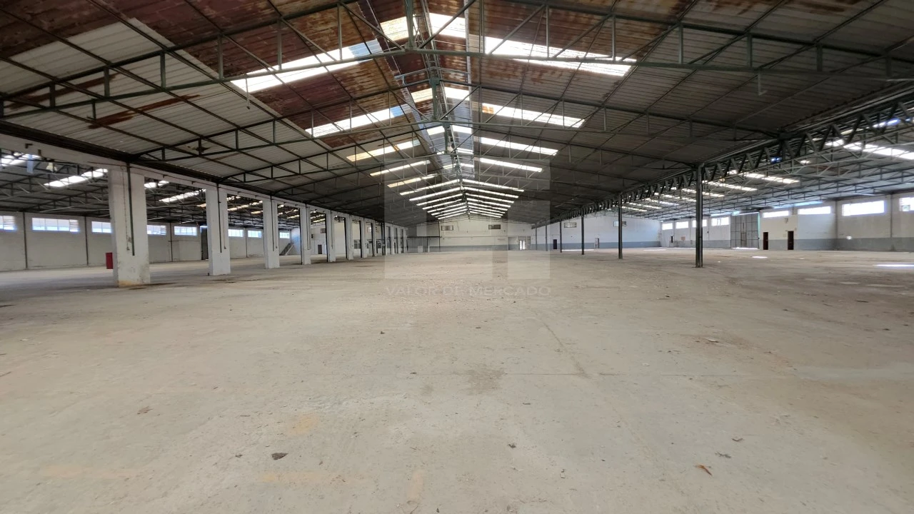 Armazém para Venda em Torres Novas (Santa Maria, Salvador e Santiago) Foto 23
