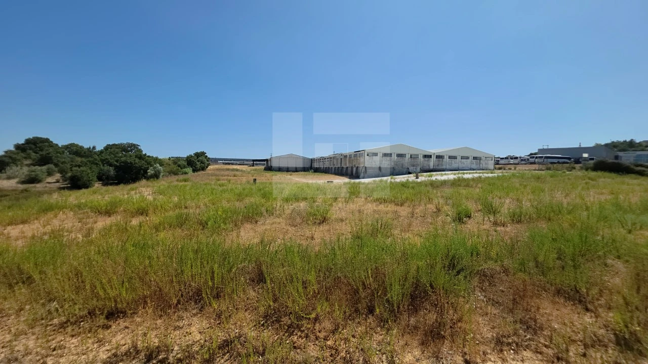 Armazém para Venda em Torres Novas (Santa Maria, Salvador e Santiago) Foto 36