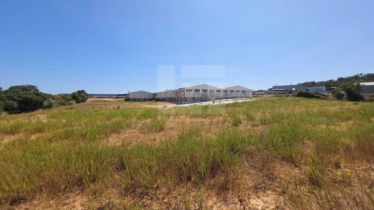 Armazém para Venda em Torres Novas (Santa Maria, Salvador e Santiago) Foto 37