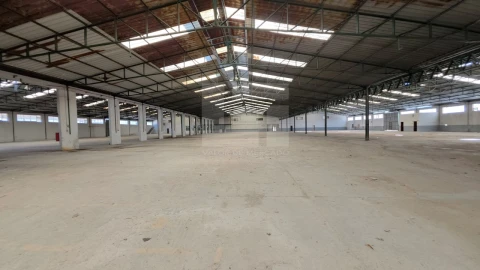 Armazém para Venda em Torres Novas (Santa Maria, Salvador e Santiago)