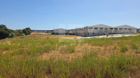 Armazém para Venda em Torres Novas (Santa Maria, Salvador e Santiago)