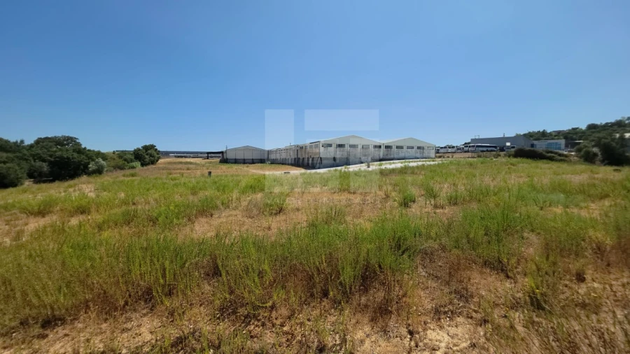 Armazém para Venda em Torres Novas (Santa Maria, Salvador e Santiago) Foto 35