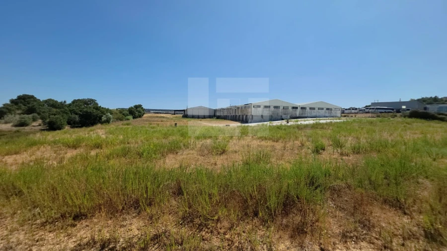 Armazém para Venda em Torres Novas (Santa Maria, Salvador e Santiago) Foto 36