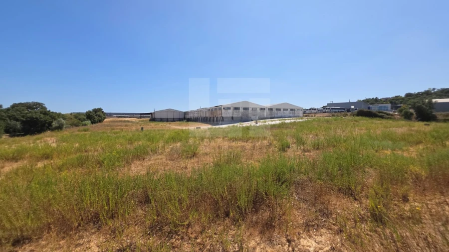 Armazém para Venda em Torres Novas (Santa Maria, Salvador e Santiago) Foto 37