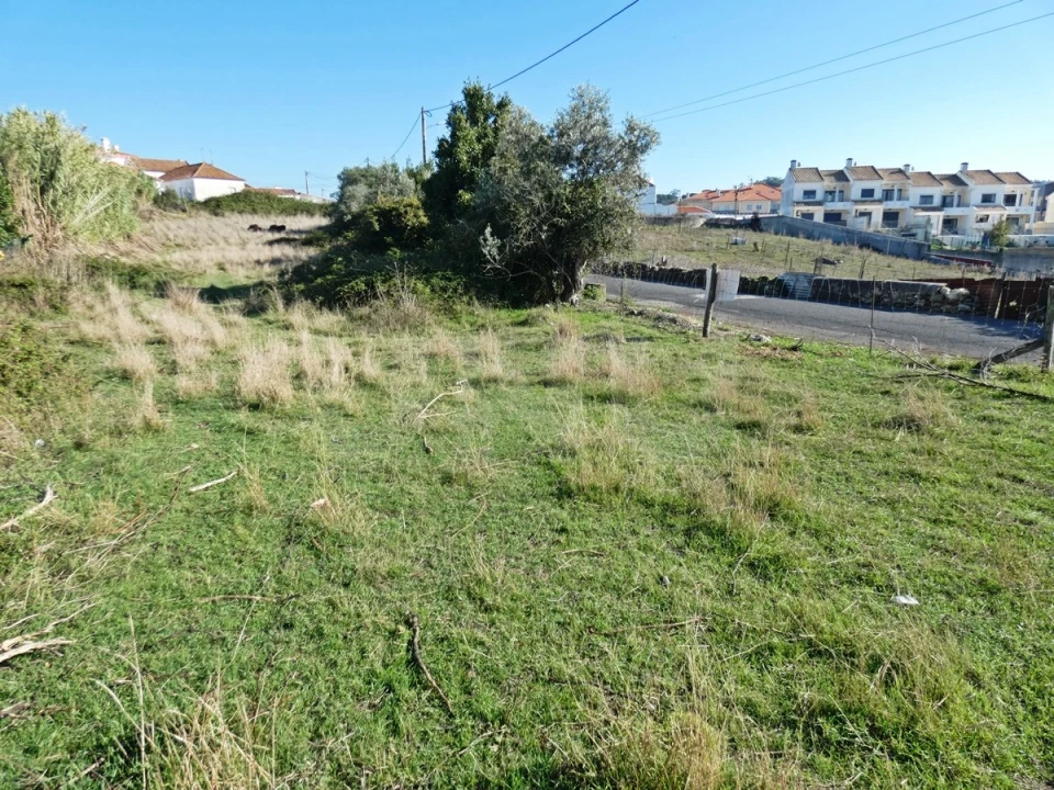 Terreno para Venda em Milharado Foto 4