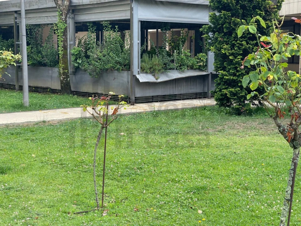 Loja para Venda em Braga (Maximinos, Sé e Cividade) Foto 8