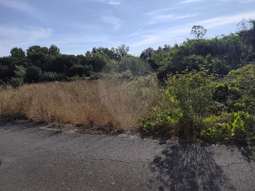 Terreno para Venda em Ovar, São João, Arada e São Vicente de Pereira Jusã