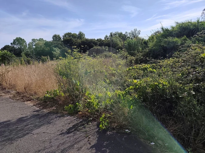 Terreno para Venda em Ovar, São João, Arada e São Vicente de Pereira Jusã Foto 8