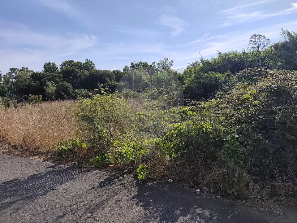 Terreno para Venda em Ovar, São João, Arada e São Vicente de Pereira Jusã Foto 5