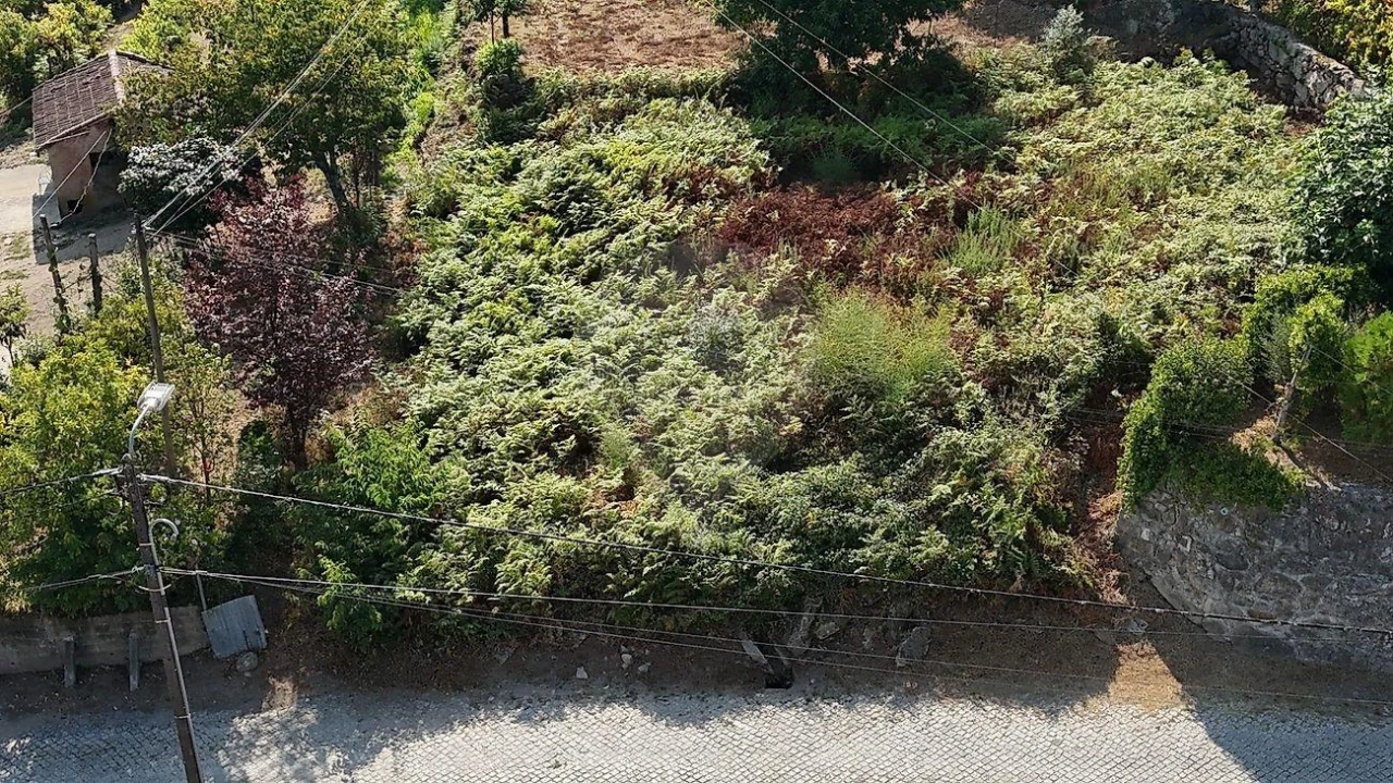 Terreno para Venda em Vila Verde e Barbudo Foto 23