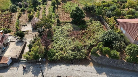 Terreno para Venda em Vila Verde e Barbudo