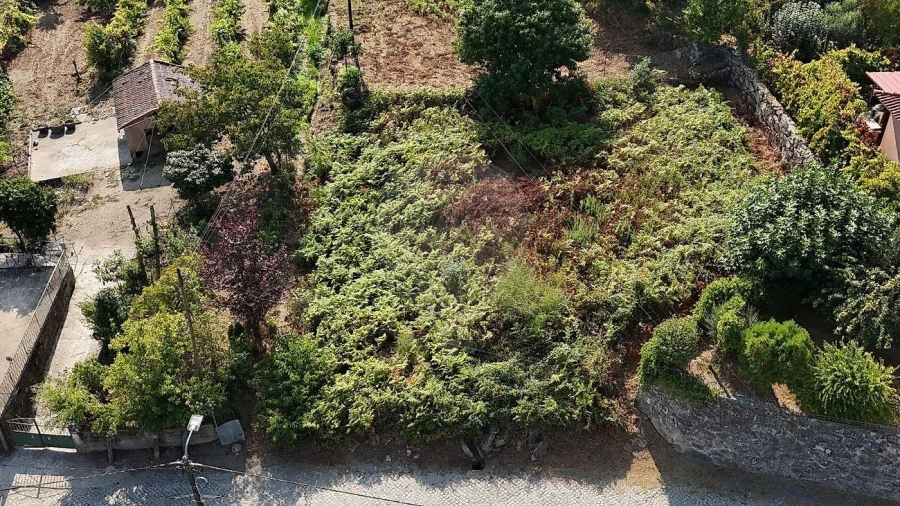 Terreno para Venda em Vila Verde e Barbudo Foto 2