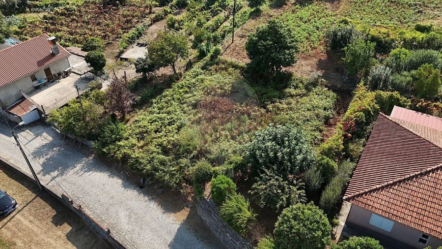 Terreno para Venda em Vila Verde e Barbudo Foto 4