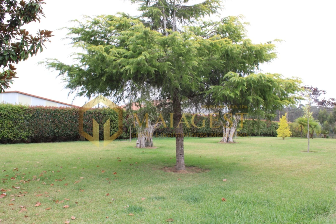 Moradia T3 para Venda em Ovar, São João, Arada e São Vicente de Pereira Jusã Foto 75