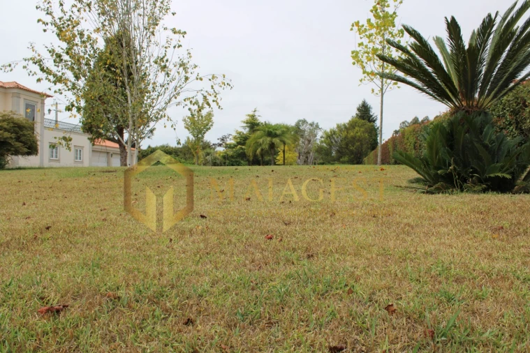 Moradia T3 para Venda em Ovar, São João, Arada e São Vicente de Pereira Jusã Foto 5