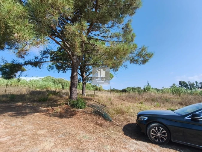 Terreno para Venda em Caparica e Trafaria Foto 12