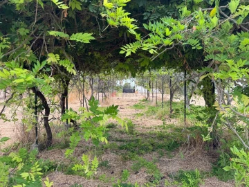 Quinta T4 para Venda em Beja (Salvador e Santa Maria da Feira)
