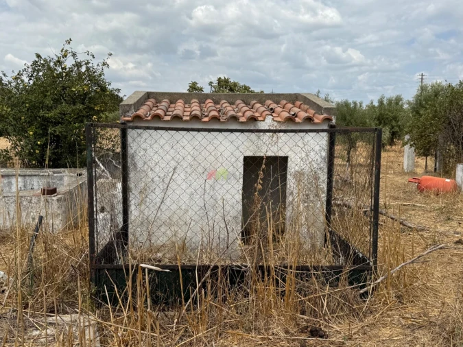 Quinta T4 para Venda em Beja (Salvador e Santa Maria da Feira) Foto 5