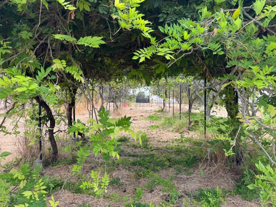 Quinta T4 para Venda em Beja (Salvador e Santa Maria da Feira) Foto 7