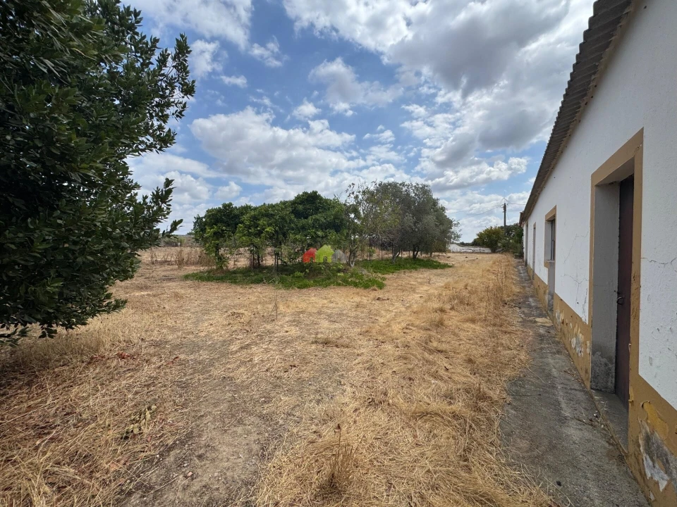 Quinta T4 para Venda em Beja (Salvador e Santa Maria da Feira) Foto 3