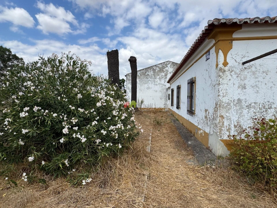 Quinta T4 para Venda em Beja (Salvador e Santa Maria da Feira) Foto 12