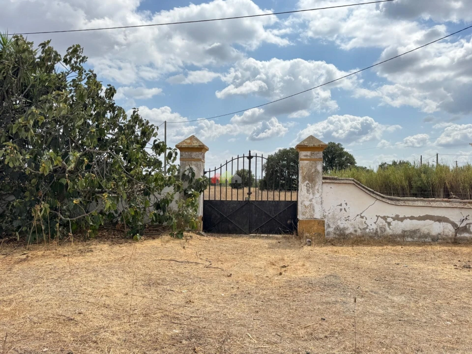 Quinta T4 para Venda em Beja (Salvador e Santa Maria da Feira) Foto 9