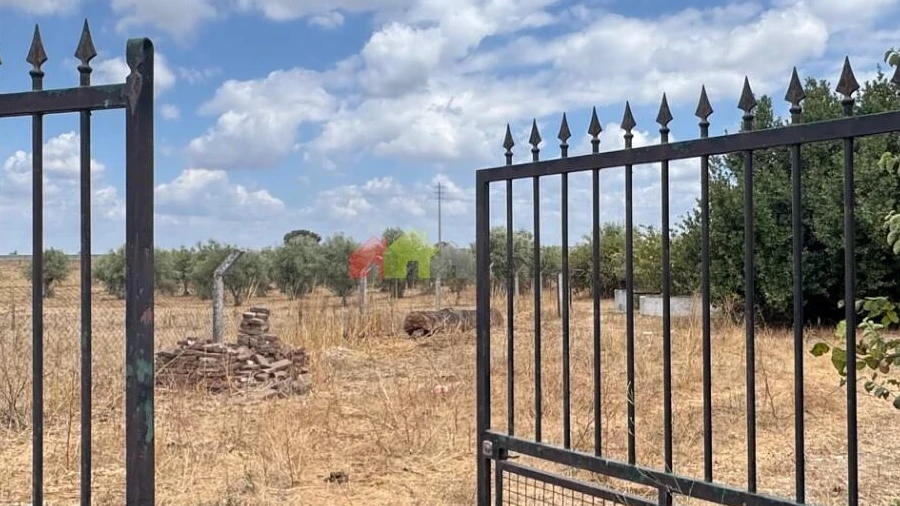 Quinta T4 para Venda em Beja (Salvador e Santa Maria da Feira)