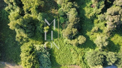 Terreno para Venda em Gondarem