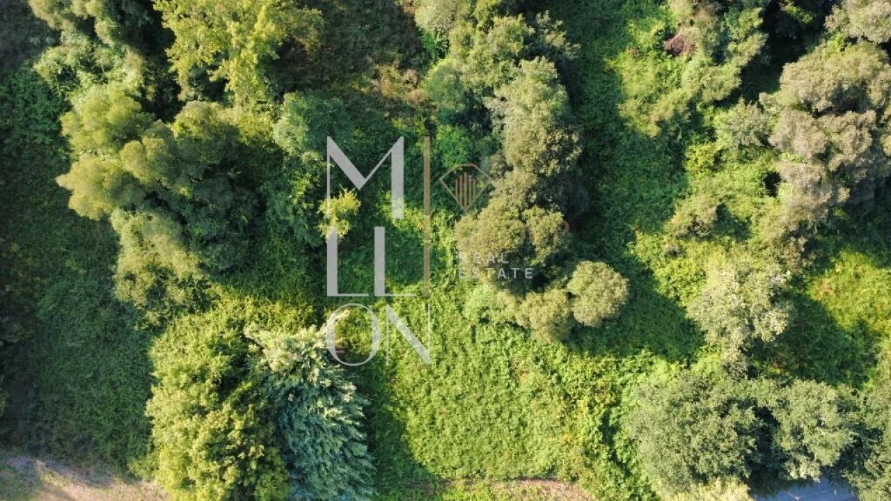 Terreno para Venda em Gondarem Foto 6