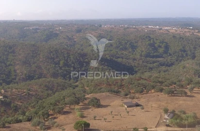 Terreno para Venda em São Francisco da Serra