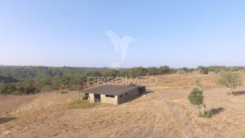 Terreno para Venda em São Francisco da Serra
