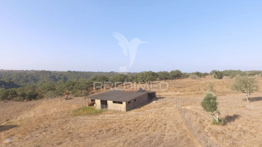 Terreno para Venda em São Francisco da Serra Foto 8