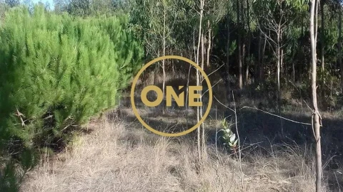 Terreno para Venda em Reguengo Grande