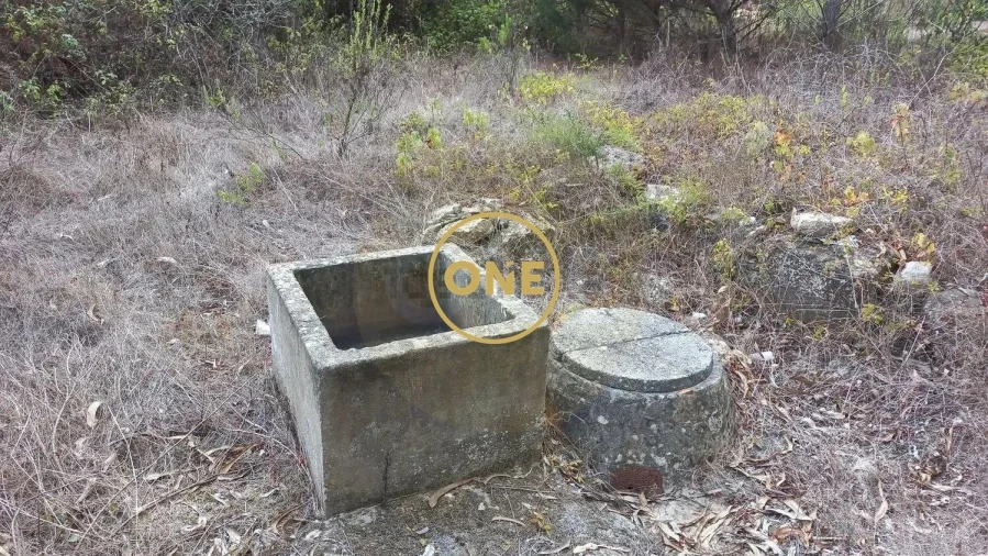Terreno para Venda em Reguengo Grande Foto 6