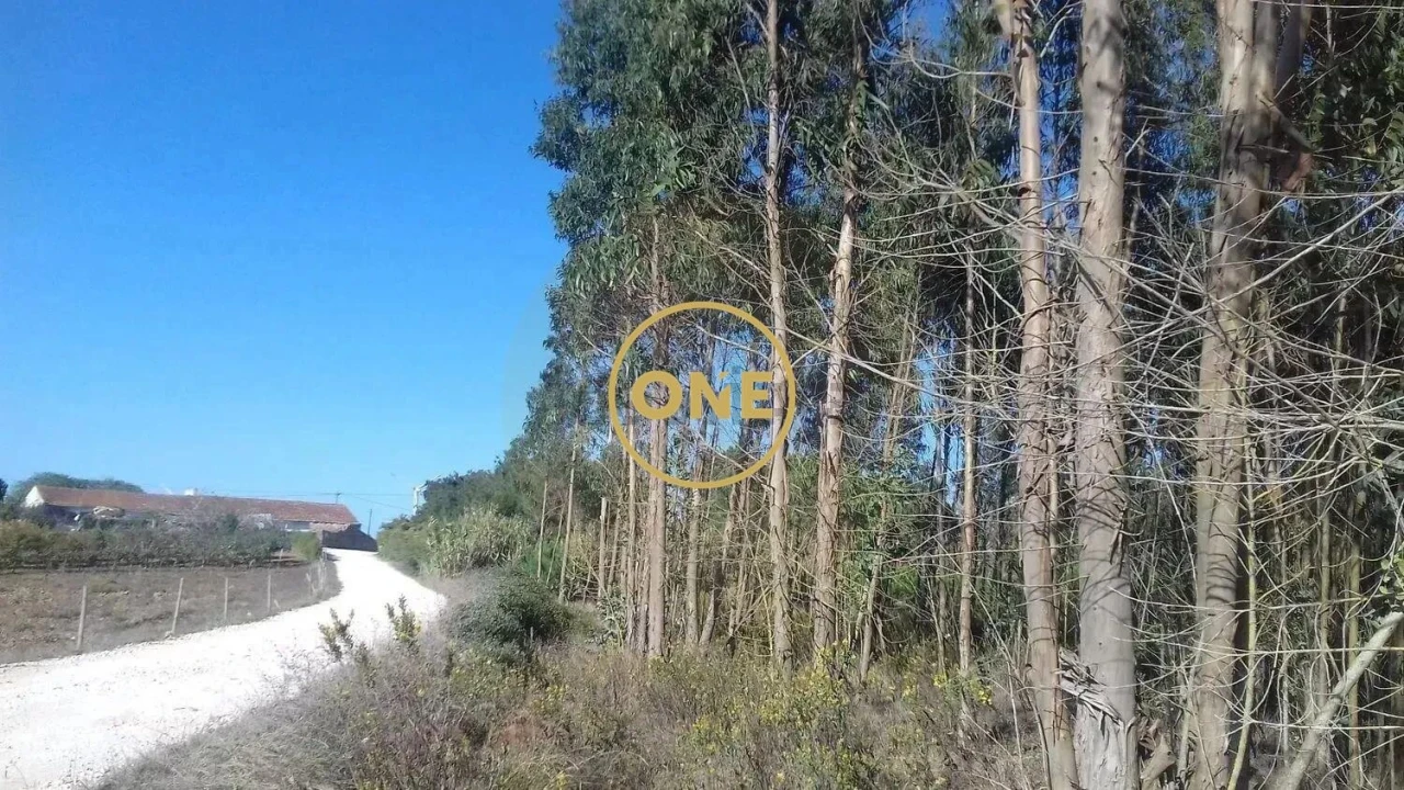 Terreno para Venda em Reguengo Grande Foto 4