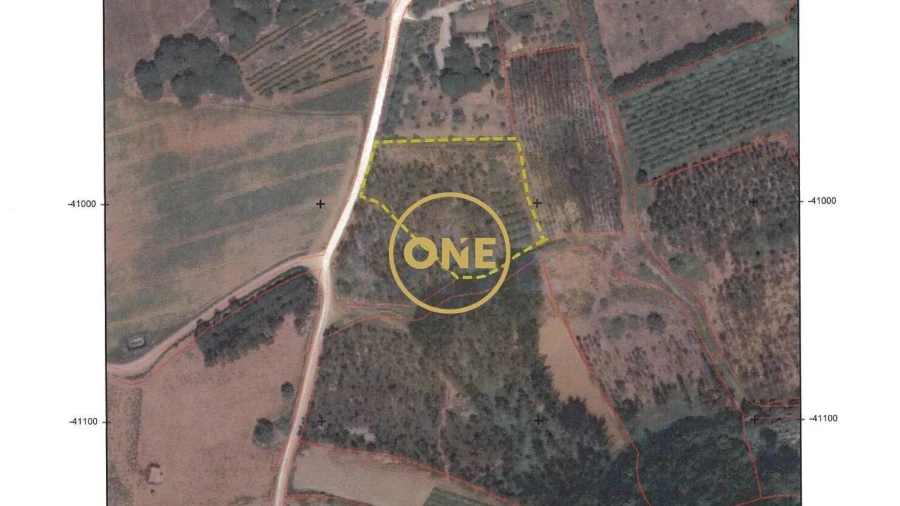 Terreno para Venda em Reguengo Grande