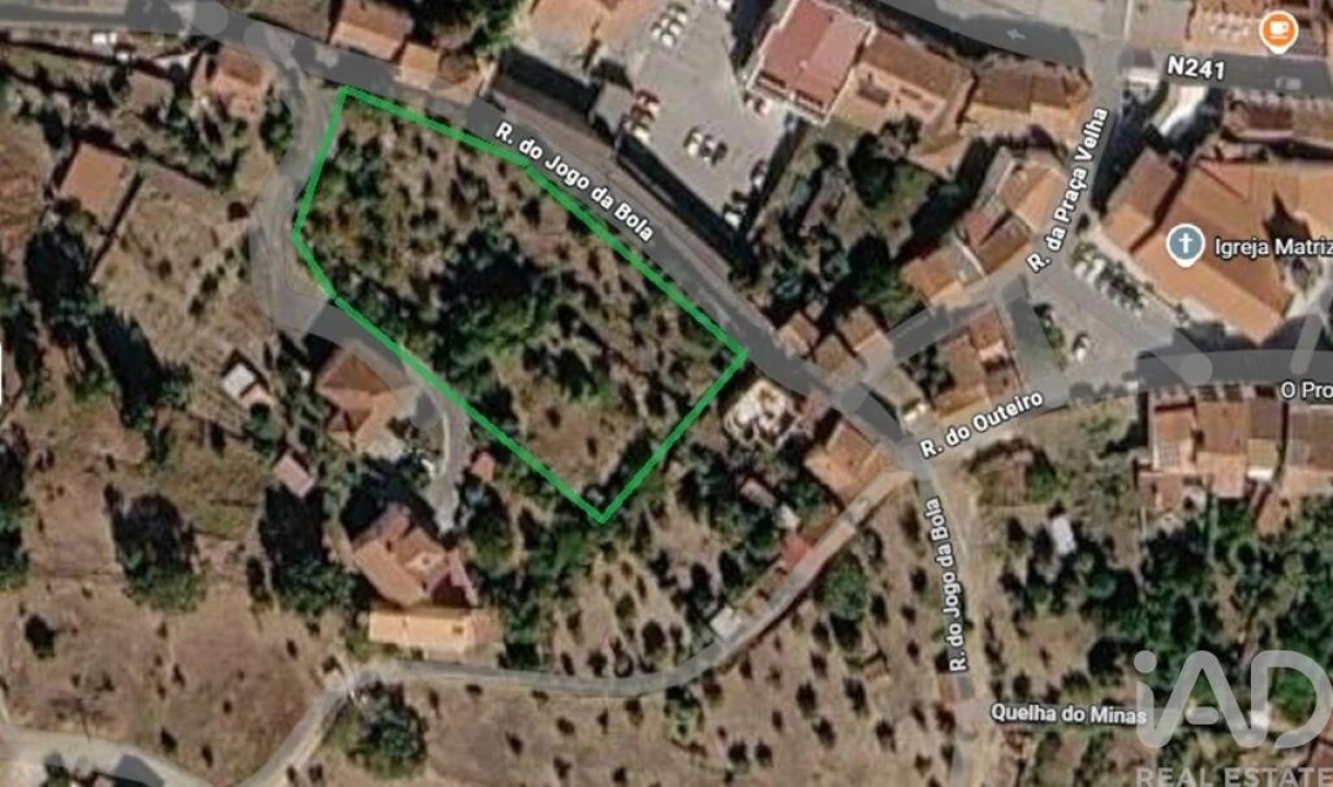 Terreno para Venda em Proença-A-Nova e Peral Foto 1