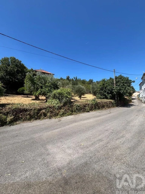 Terreno para Venda em Proença-A-Nova e Peral