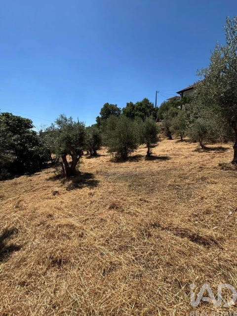 Terreno para Venda em Proença-A-Nova e Peral