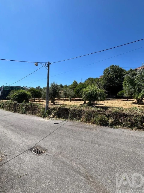 Terreno para Venda em Proença-A-Nova e Peral