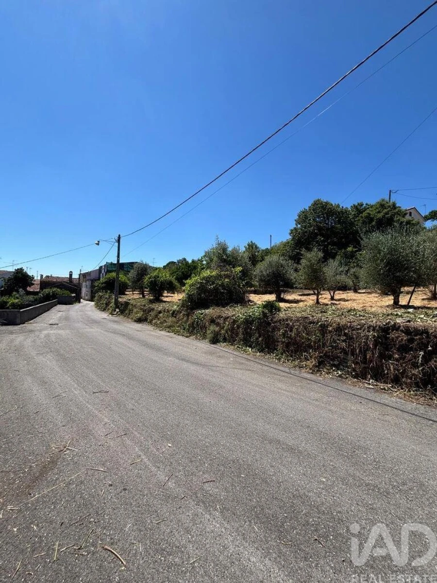 Terreno para Venda em Proença-A-Nova e Peral Foto 6